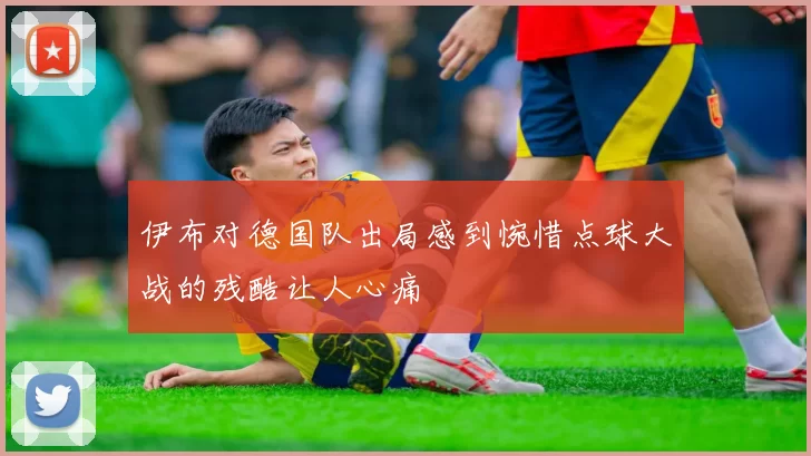 伊布对德国队出局感到惋惜点球大战的残酷让人心痛